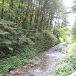 フランスベ－カリー - 旧軽井沢銀座を抜けると景色は一変