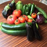 ボンメゾン - 三浦農園の有機野菜