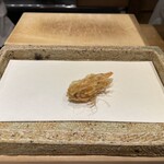 日本橋 蕎ノ字 - 