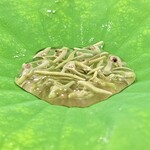 日本料理 みや  - 