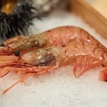 日本料理 みや  - 