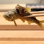 日本料理 みや  - 