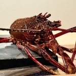 日本料理 みや  - 