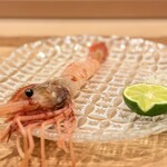 日本料理 みや  - 