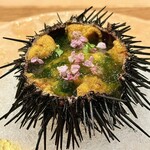 日本料理 みや  - 