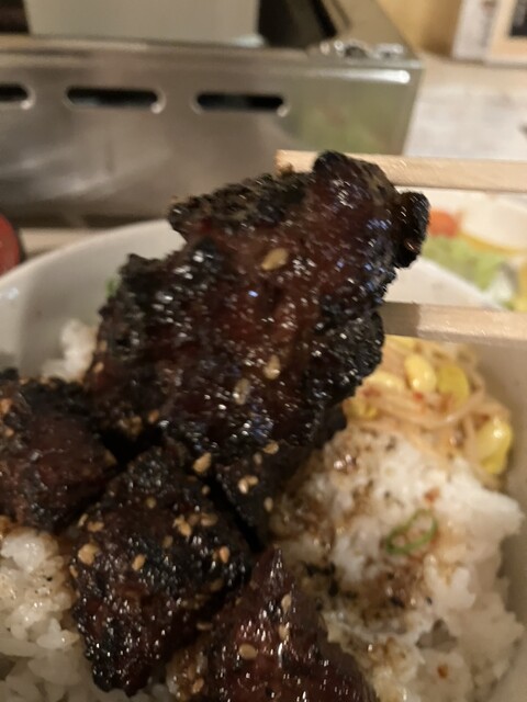 Fukushige Horumon Oosakaten photo 5