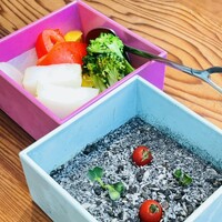 恵比寿ビストロ 猫も杓子も - 