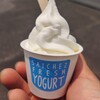 SaicheZ FROZEN YOGURT