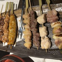 美神鶏 - 