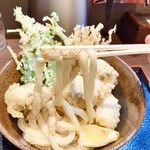 まる博 - かしわ天ぶっかけ（並・冷）（￥900）