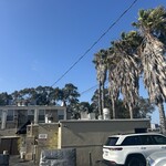 The San Franciscan - 