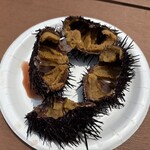 磯貝鮮魚店 - ムラサキウニ２個
