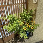 お酒と魚 三二六 - 