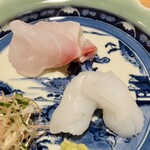 日本料理FUJI - アオリイカとハタ