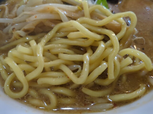 らーめん 紺や（こんや） - 庭坂（ラーメン）の写真