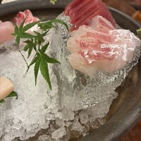 銀平 北新地店 - 