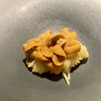 蒼 - 小浜の赤雲丹の冷製フェデリーニ