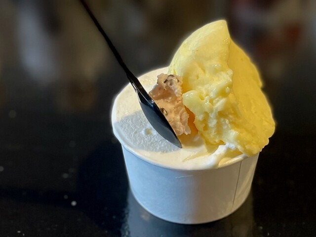 ふるさと納税 新潟県 加茂市 AMEYA AISU アイスクリーム＆シャーベット 8個入 おまかせギフトボックス 北海道産あずき使用 食べ比べ… 定期便6ヶ月毎月お届けAMEYA AISU アイスクリーム＆シャーベット 6個