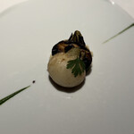 レフェルヴェソンス - 蕪