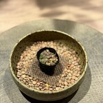 305447407 - 