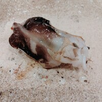 鮨 もりなり - 