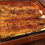 うなぎ 桜家 - 鰻重（一匹）