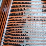 そば処 天寿庵 - おぼんのサイン❣