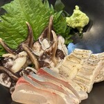 たぬき ラクーンドッグ - 