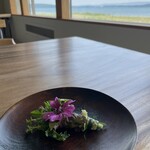 ヴィラ・デラ・パーチェ - 