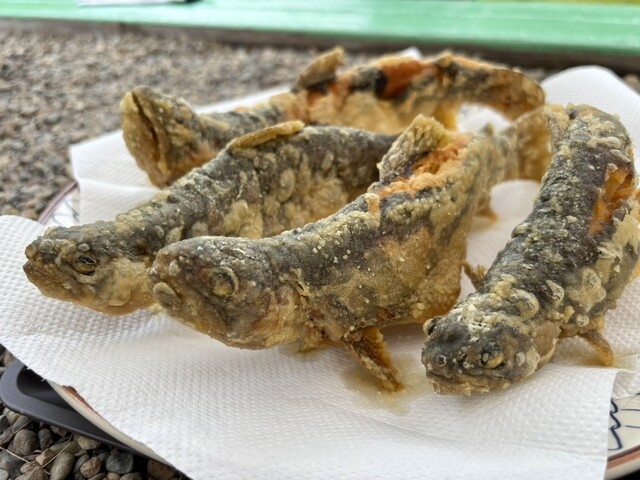 いわなの里 - 只見（その他）の写真