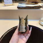 THE SUSHI TOKYO 旬 - 