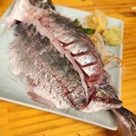 三吉橋フライ屋 - どんちっち　