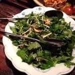 パクチーサラダ　2014年７月