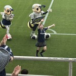 ベスト電器スタジアム - 豊永亜紀ちゃん