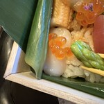 OTOTO JET - アスパラ