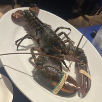 オッティモ・シーフード・ガーデン 新宿店 - 
