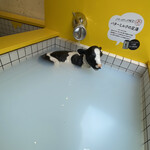 ゲロ ゲロ バター スタンド - 