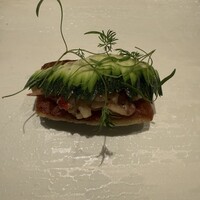 カンテサンス - 