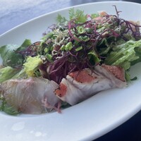 レストラン ラ・マーレ - 