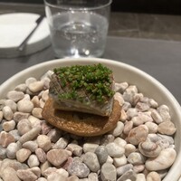 CIRPAS - 