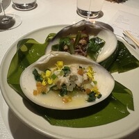 レフェルヴェソンス -  レフェルヴェソンス -