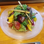 ななくさ食堂 - 有機野菜の彩りサラダ(ハーフ)