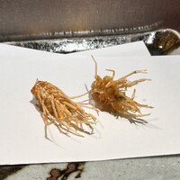 銀座 天一 博多店 - 