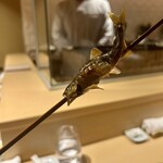 銀座 しのはら - 琵琶湖子鮎　うるか醤油焼き　塩焼きよりも濃厚な旨み