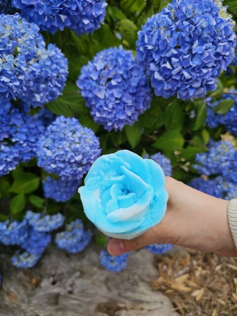 ババヘラアイス（進藤冷菓） - 船越（その他）の写真