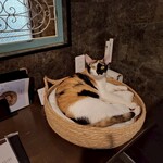 猫喫茶 ネコブ - 