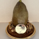 アングランパ - 