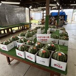 すいかの里 植木 - 