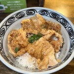 らぁめん銀波露 - ぱいくう丼