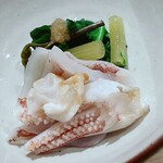 温石 - ジンドウイカのアップ